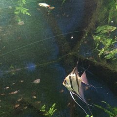 IMG 058